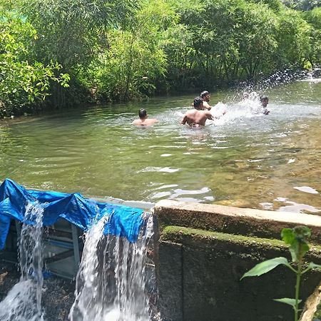 Tharayil Farm Stay Vagamon Kültér fotó