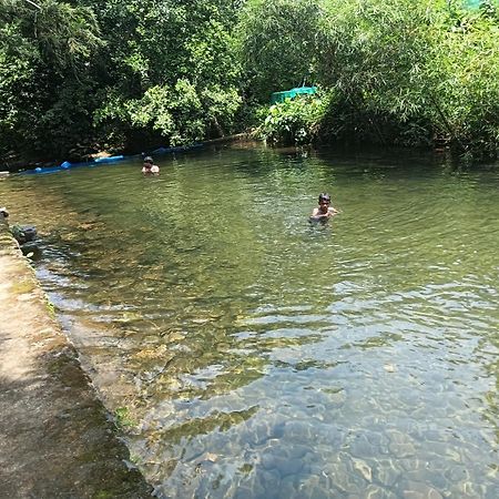 Tharayil Farm Stay Vagamon Kültér fotó