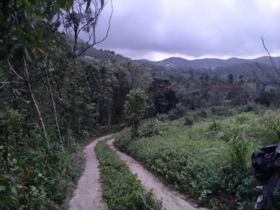Tharayil Farm Stay Vagamon Kültér fotó