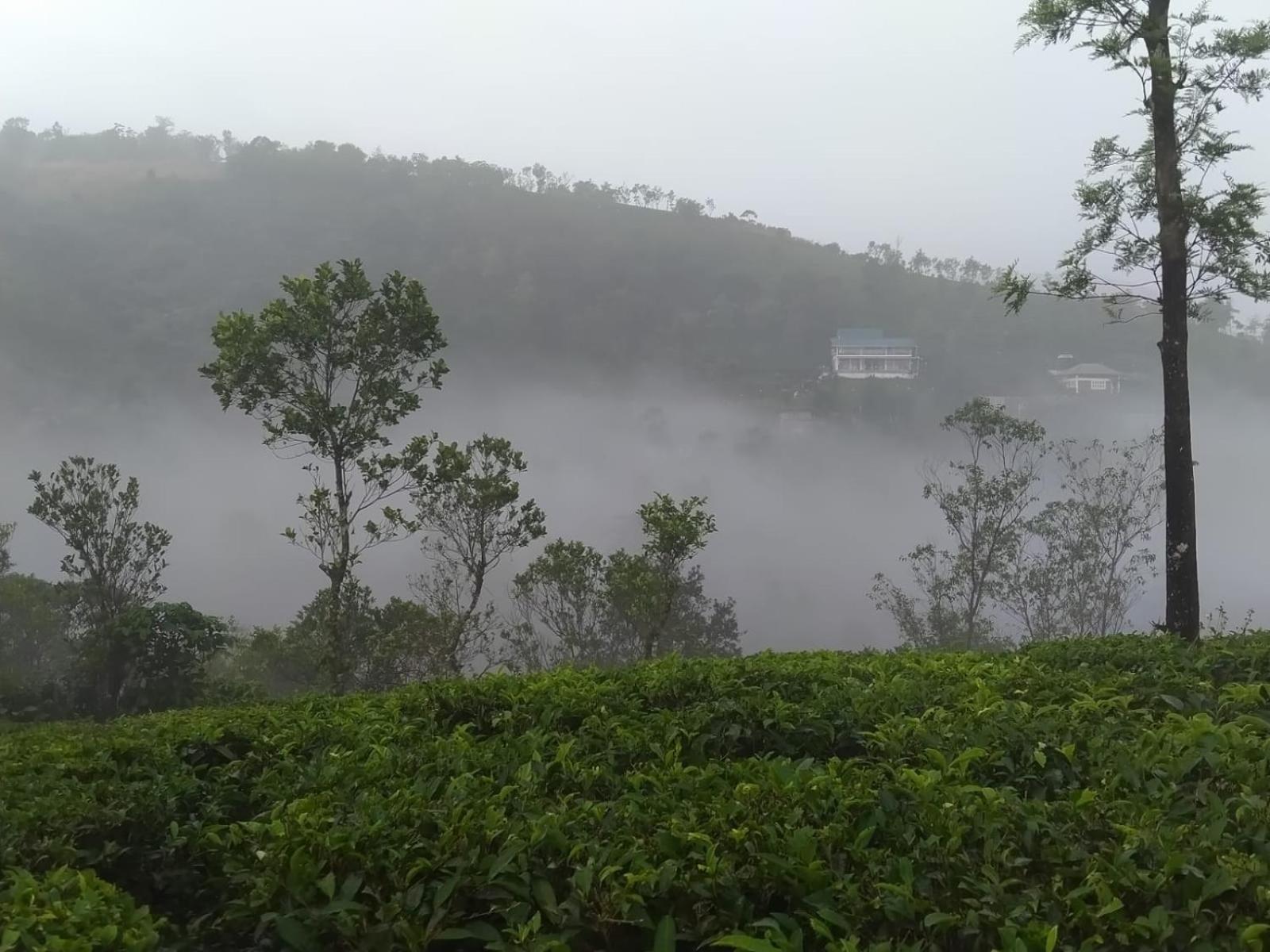 Tharayil Farm Stay Vagamon Kültér fotó