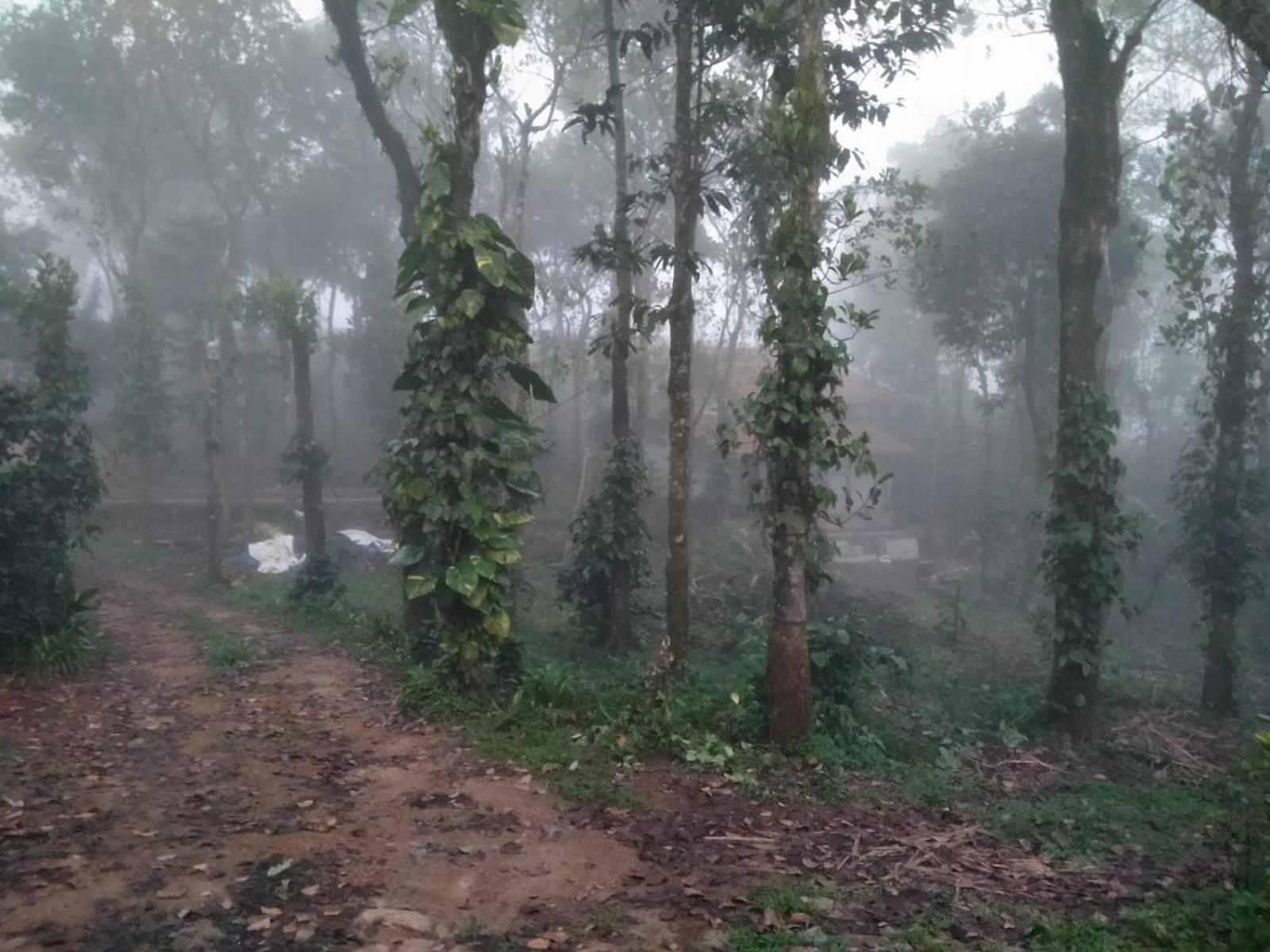Tharayil Farm Stay Vagamon Kültér fotó
