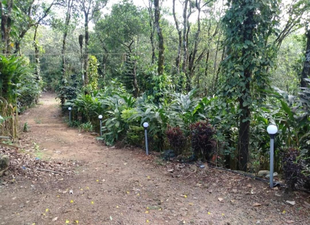 Tharayil Farm Stay Vagamon Kültér fotó