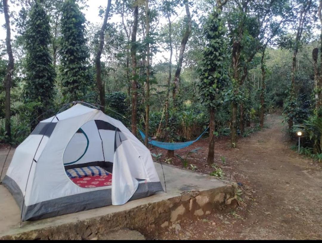 Tharayil Farm Stay Vagamon Kültér fotó