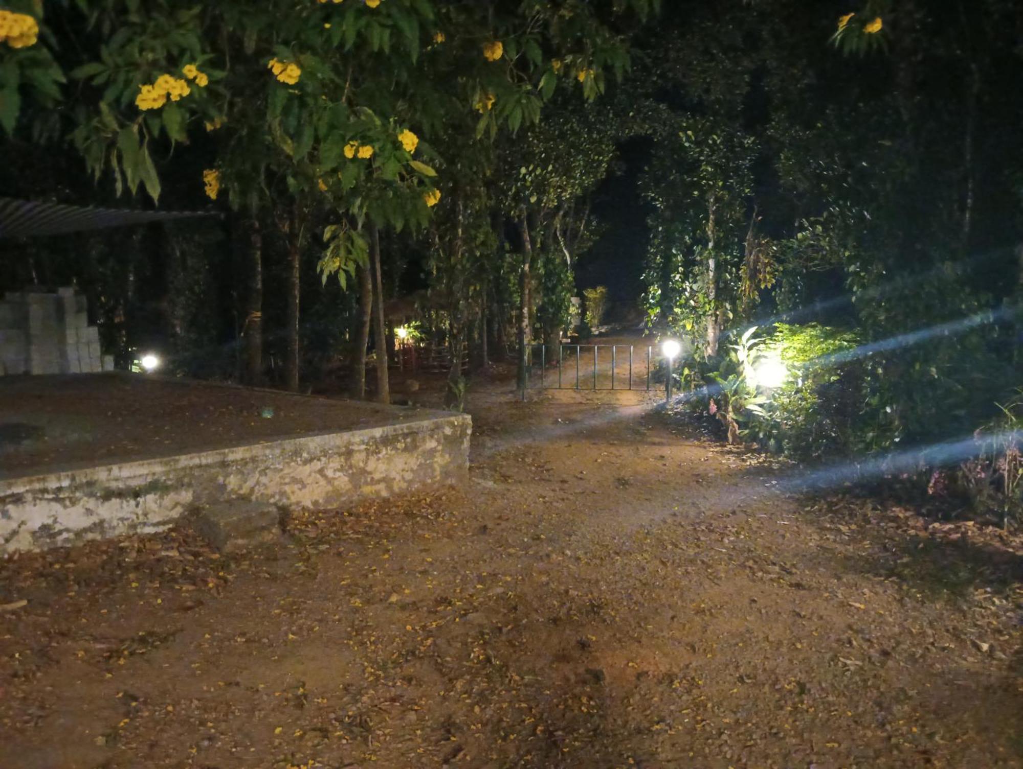 Tharayil Farm Stay Vagamon Kültér fotó
