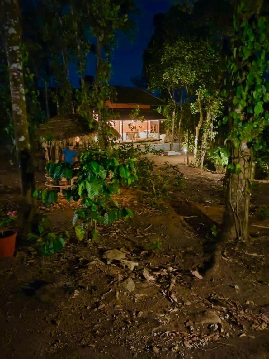 Tharayil Farm Stay Vagamon Kültér fotó