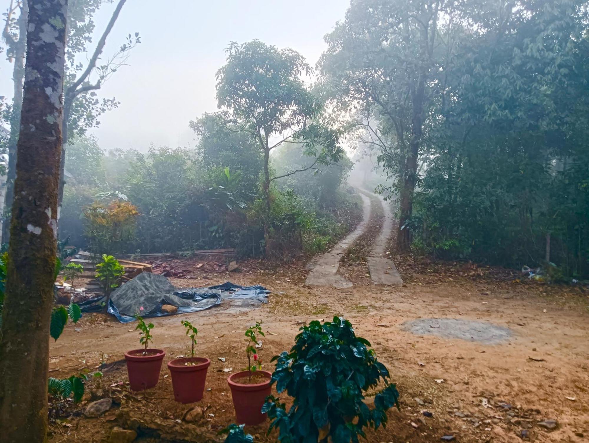 Tharayil Farm Stay Vagamon Kültér fotó