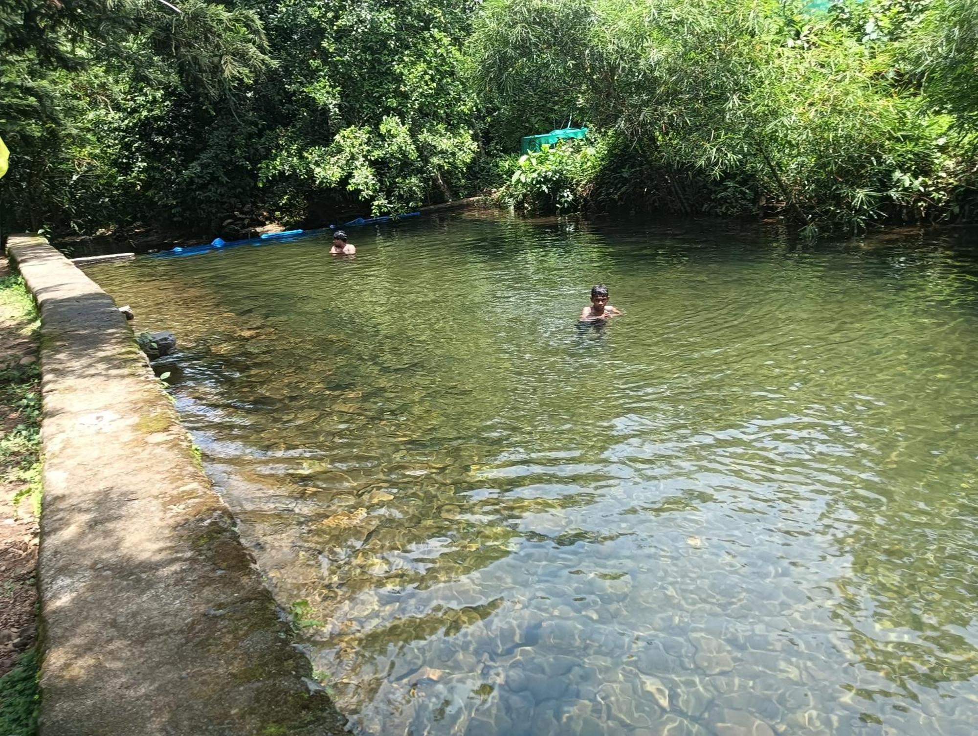 Tharayil Farm Stay Vagamon Kültér fotó