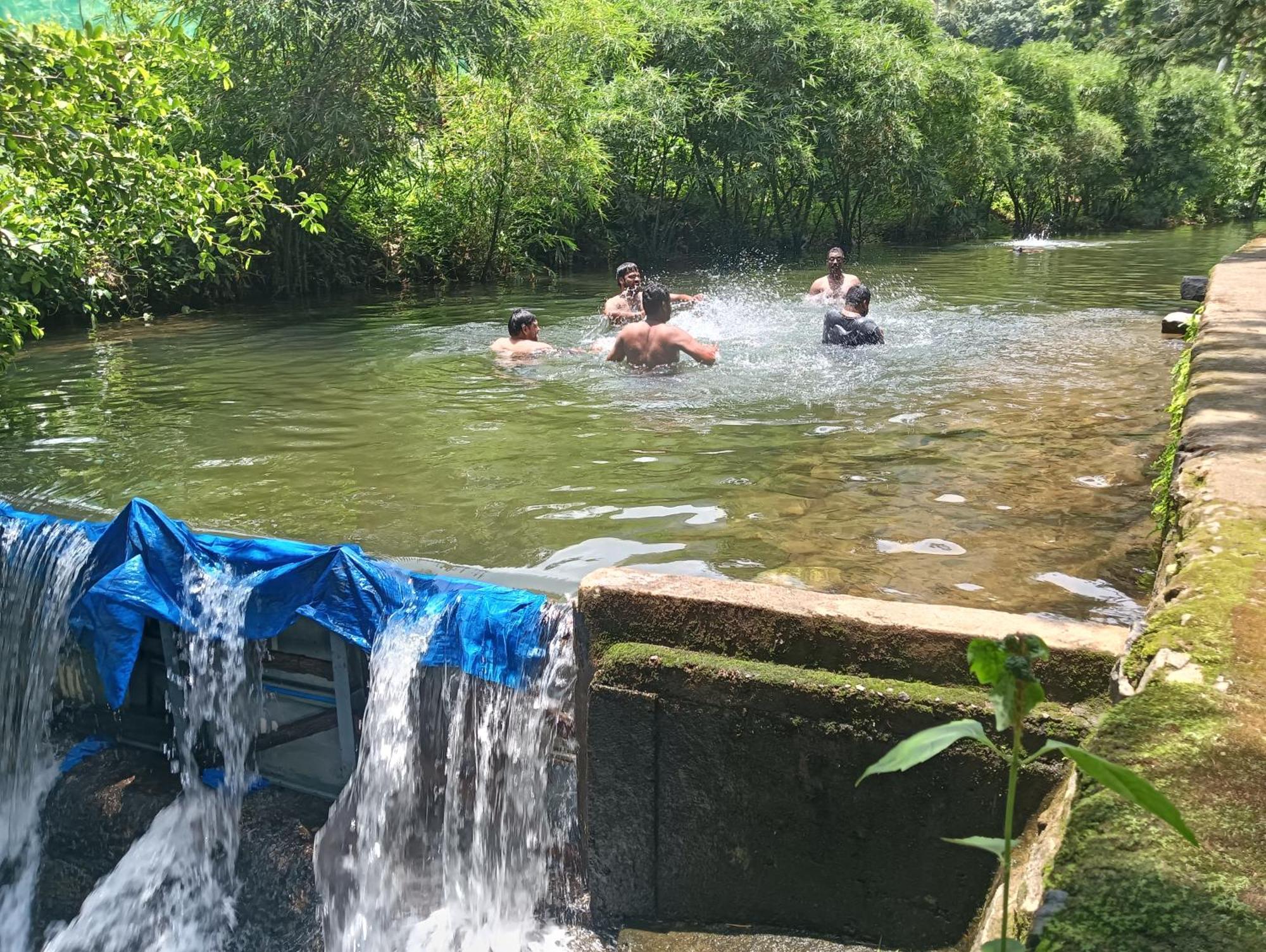 Tharayil Farm Stay Vagamon Kültér fotó